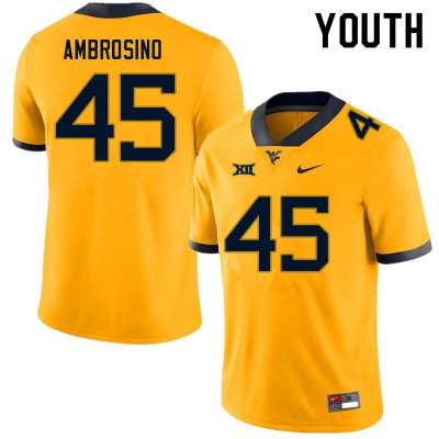 Youth West Virginia Mountaineers NCAA #45 Derek Ambrosino Gold Authentic Nike Stitched College Football Jersey ZI15J70YN